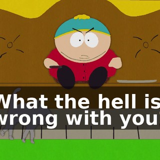 What the hell is wrong with you?