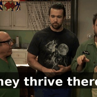 0b391576-c655-4826-bd5b-25464ed70109.gif