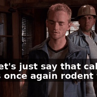 so, let's just say that cabin 15 is once again rodent free.