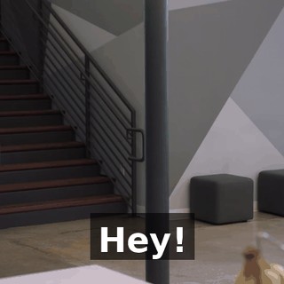 Hey!