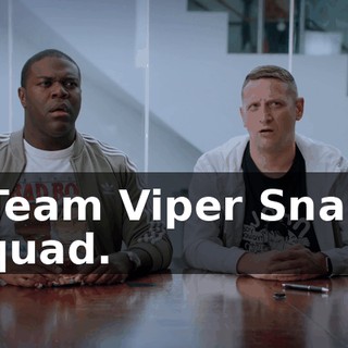 - Team Viper Snake Squad.