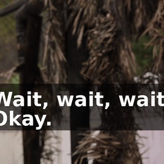 Wait, wait, wait. Okay.