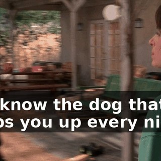 You know the dog that keeps you up every night?