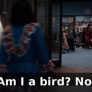 0bc16c14-2bd4-4e02-887c-3984ad0b5d43.gif