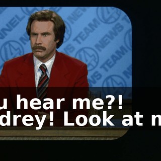 You hear me?! Audrey! Look at me!