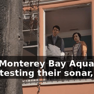 The Monterey Bay Aquarium was testing their sonar,