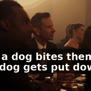 and a dog bites them, the dog gets put down...