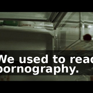 We used to read pornography.