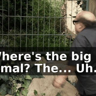0c2e210d-979c-41ab-918b-9b6b1a28aa7a.gif