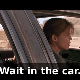 Wait in the car.