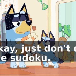 Okay, just don't do the sudoku.