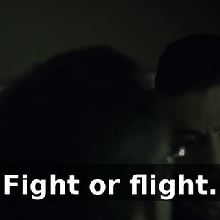 0ca015b5-9afa-4d18-ad7b-1b8d2e36cd53.gif