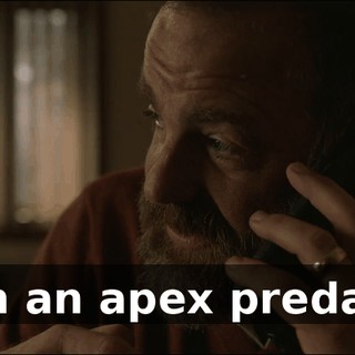 0ca13325-6449-4da8-8abf-b91a4c983d3d.gif