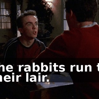 The rabbits run to their lair.