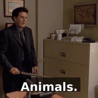 Animals.