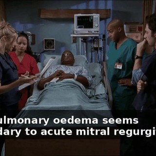 0d572a65-2e21-4e32-97e3-9ff0fa821d29.gif