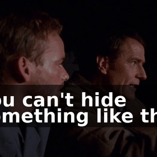 You can't hide something like this