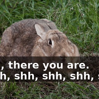 0d722fbc-0956-4504-a6ab-64eda9c55969.gif