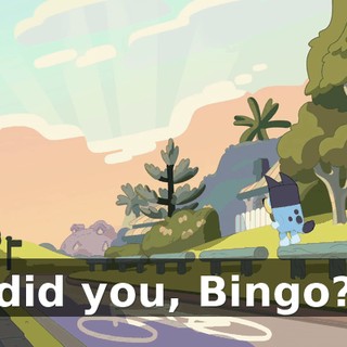 did you, Bingo?