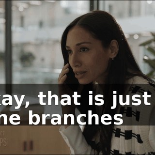 - Okay, that is just one of the branches