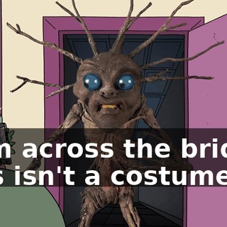 from across the bridge. This isn't a costume.