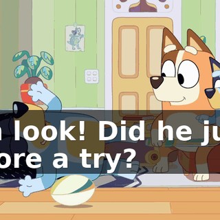 Oh look! Did he just score a try?