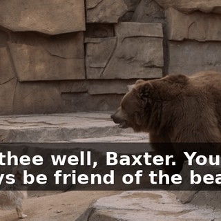 Fare thee well, Baxter. You shall always be friend of the bears.