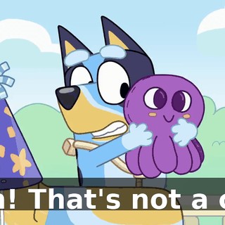 Aah! That's not a cat!