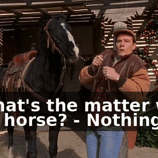 - What's the matter with this horse? - Nothing.