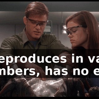 0e7cf0de-ad75-469c-8984-e69ef157a2b9.gif