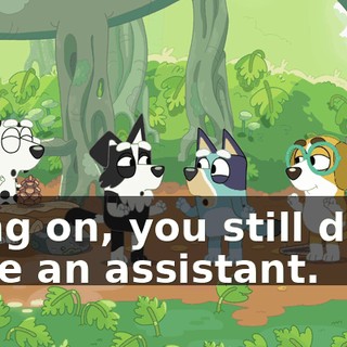 Hang on, you still don't have an assistant.