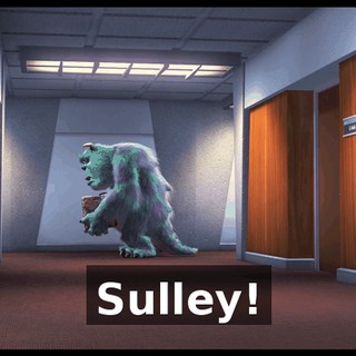 Sulley!