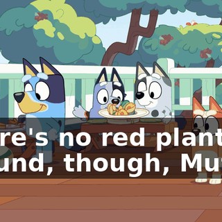 There's no red plants around, though, Muffin.