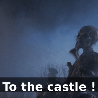 To the castle !