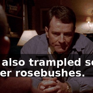You also trampled some of her rosebushes.