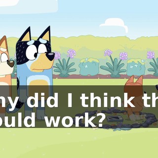 Why did I think that would work?