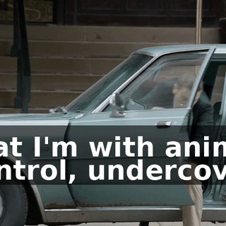 that I'm with animal control, undercover.