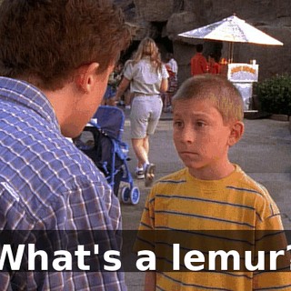 What's a lemur?