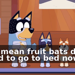 You mean fruit bats don't need to go to bed now?
