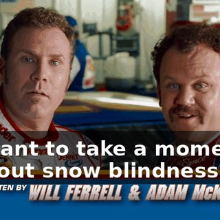We just want to take a moment to talk to you about snow blindness in cats.