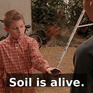 Soil is alive.