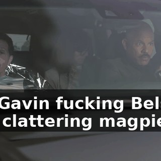 It's Gavin fucking Belson, you clattering magpie!
