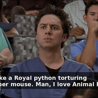1081d9c0-5eb6-4ea9-9414-a80e5eca5f31.gif