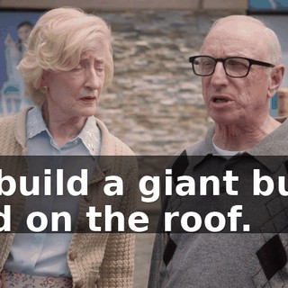 to build a giant bunk bed on the roof.
