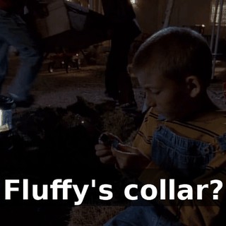 Fluffy's collar?