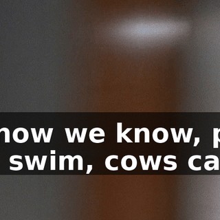 So now we know, pigs can swim, cows can't.