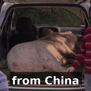from China