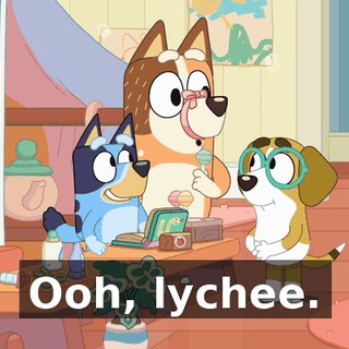 10c80240-5c87-4e0a-b151-5bd50ec84229.gif