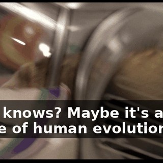 10ef85f6-8b7e-4fc4-ac69-2d4da9da9703.gif