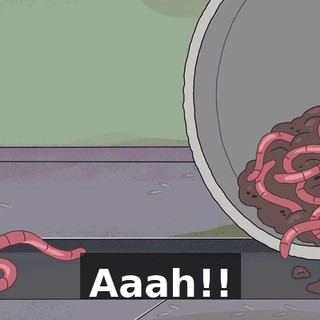 110cdcef-5784-4a42-a890-5adf2df77bf1.gif